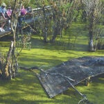 Everglades, el humedal eterno