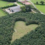 El corazón gigante del viudo enamorado