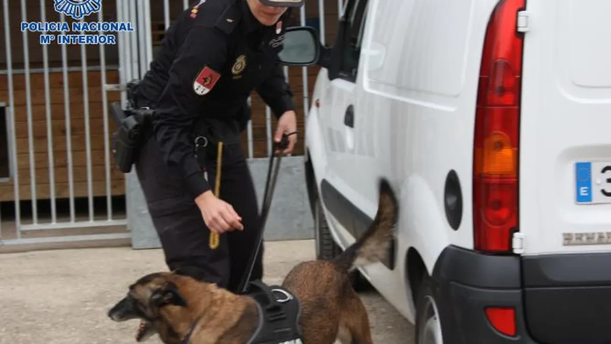 Uno de los perros en el transcurso de la operación policial