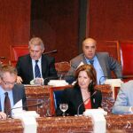 La consejera de Sanidad y Política Social, María Ángeles Palacios, ayer en la Asamblea Regional