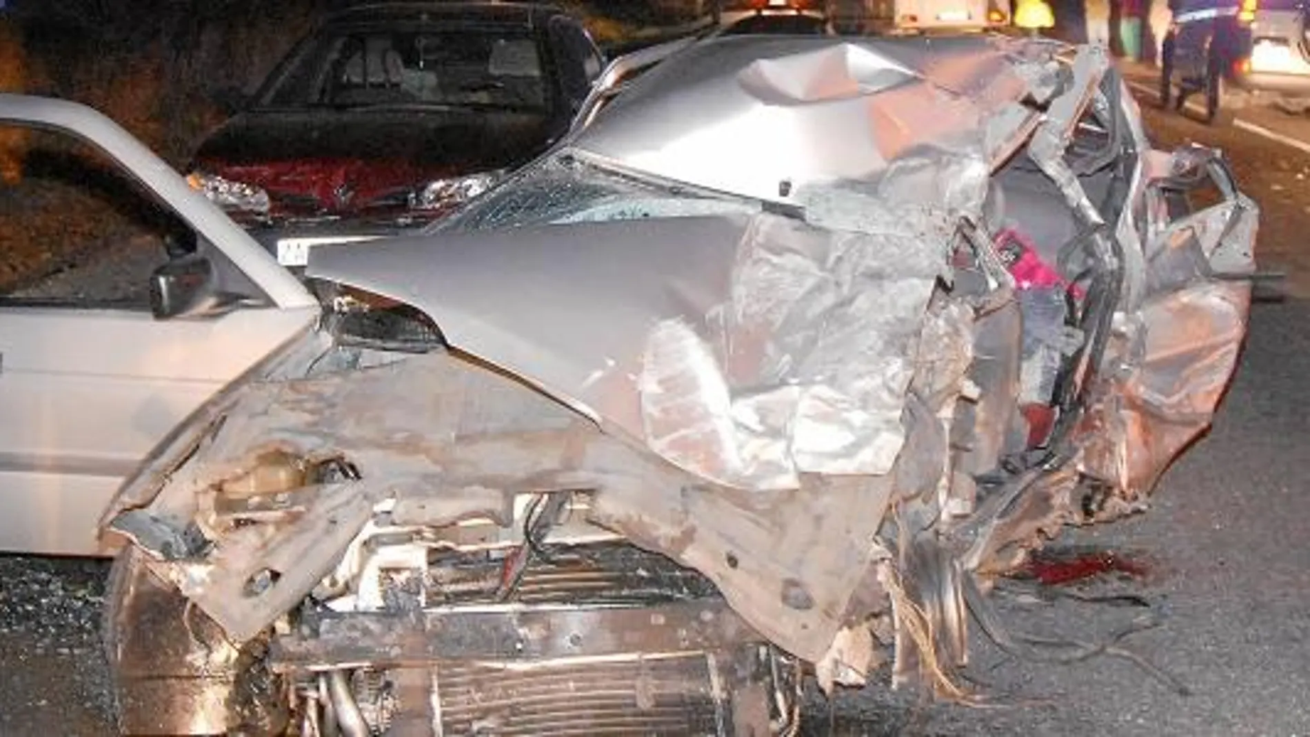 Un tercio de los accidentes de tráfico por animales se producen en Castilla y León