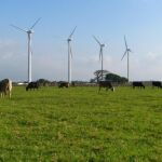Acciona Energía construye en Oaxaca (México) un parque eólico de 250,5 MW