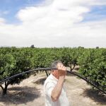 La sequía amenaza ante un plan de regadíos estancado por la crisis