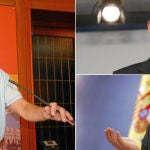 El alcalde de Murcia, Miguel Ángel Cámara, exige al Gobierno central que las buenas intenciones de sus ministros para con el Corredor Mediterráneo se hagan efectivas por escrito