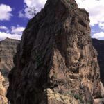 El Drago del Barranco de Arguineguín, en Los Peñones (Mogán, Las Palmas)
