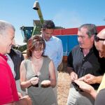 La producción de cereales despunta y llegará a los 47 millones de toneladas