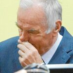 Al «carnicero de Bosnia» le llega su hora