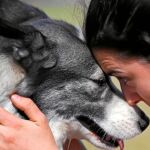 Perros adoptados