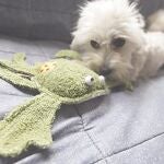 Juguetes de bambú y algodón para la mascota
