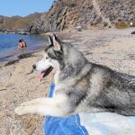 A Lua le encanta el mar y la playa. Y también bañarse durante horas en el agua