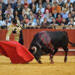 Manzanares y su cuadrilla copan los premios del jurado de La Maestranza