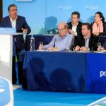 El Consejo de Alcaldes, presidido por el regidor de Torremolinos, Pedro Fernández Montes, aprobó abandonar la FAMP