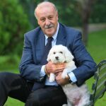 Vicente del Bosque: «No consultaría nunca a una vidente»