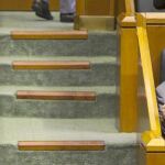 EXPLICACIONES. Basagoiti y Eguiguren, sentado, ayer, durante el pleno del Parlamento vasco