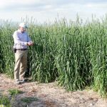  La Comunidad desarrolla un proyecto sobre logística de residuos agrícolas en zonas rurales