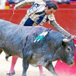 EL Cid sin premio por la espada con un gran «victorino»