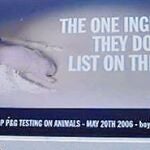  Los animales también sienten