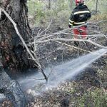 El Gobierno reconoce que las previsiones volvieron a fallar