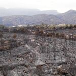 Controlado el incendio de Rasquera el mayor en 9 años
