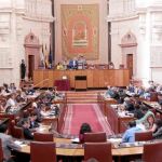 El TC mantiene la suspensión de la ley y los alcaldes seguirán en el Parlamento