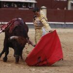 Fandiño y Talavante sustituirán a Castella y Cayetano