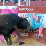 Lamelas doble cornada en tórax y abdomen