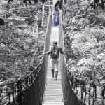 La biodiversidad es una ganga; por Achim Steiner
