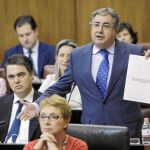 IU: «La función pública no debe suplantar a la función política»