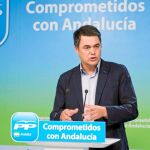El portavoz del Grupo Popular en el Parlamento andaluz, Carlos Rojas, ayer, en la sede de su partido