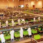 La Región de Murcia registrará el menor crecimiento de las comunidades autónomas