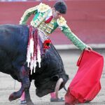 Alejandro Talavante, con la muleta en la plaza de toros de Acho