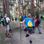 Cientos de voluntarios participan en la búsqueda