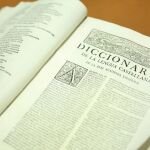 Diccionario de la Lengua Española