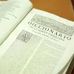 Diccionario de la Lengua Española