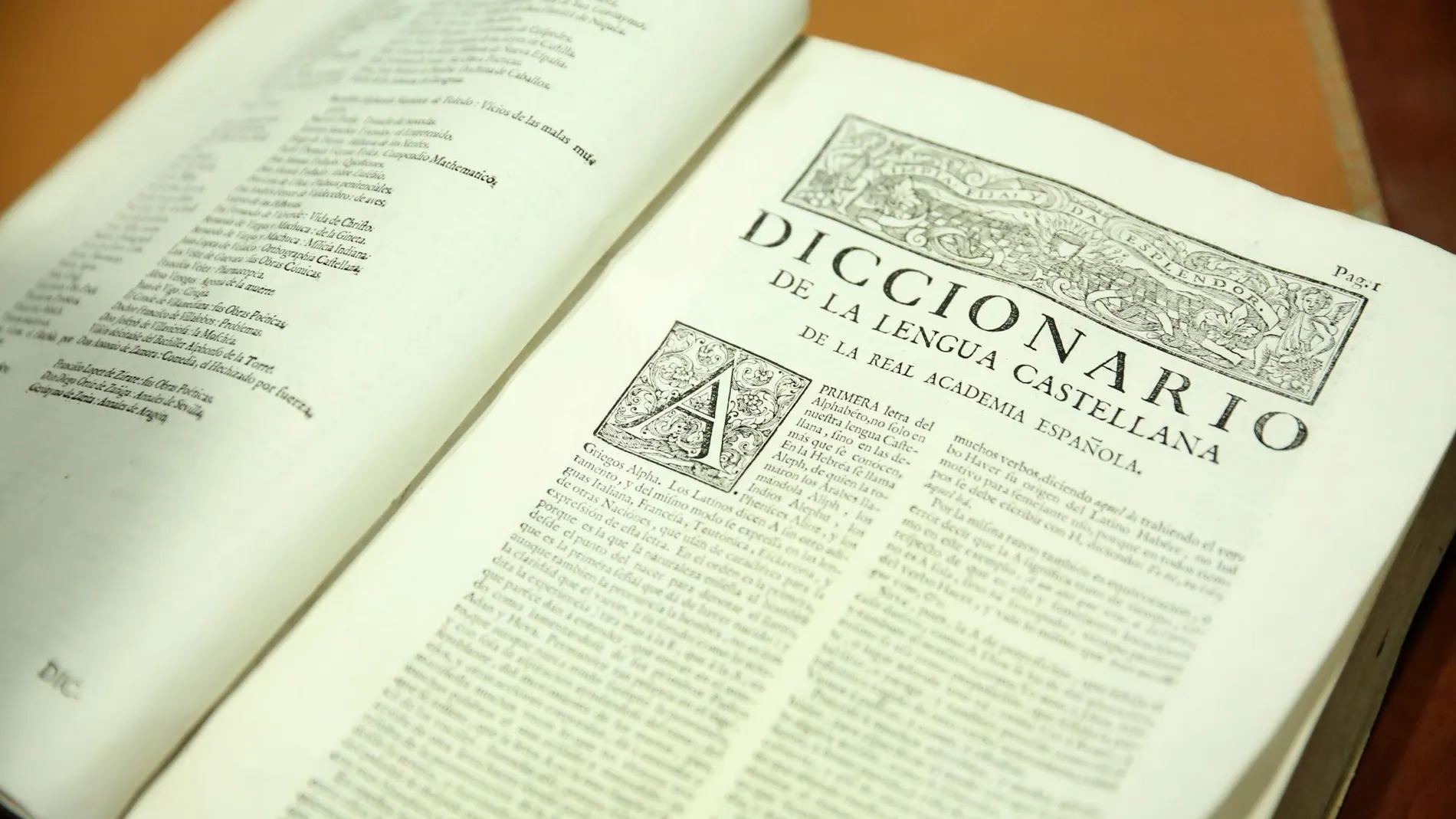 Diccionario de la Lengua Española