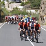 Los ciclistas, en una imagen de la séptima etapa