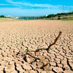 La sequía golpea con fuerza a Andalucía