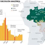Amazonas, el pulmón del mundo peligra