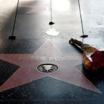 La estrella de Peter Fonda en Hollywood