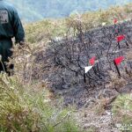 Imagen de un agente de la Guardia Civil del Seprona investigando un incendio