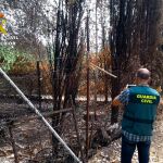 Imagen de uno de los incendios investigados por la Guardia Civil. LA RAZÓN