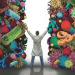El hallazgo de las superbacterias