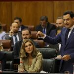 El presidente de la Junta de Andalucía, Juanma Moreno, en la sesión de control al Gobierno en el Parlamento andaluz / EP