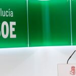 El portavoz socialista en el Parlamento de Andalucía, José Fiscal, durante la presentación de la encuesta / Foto: KE-IMAGEN