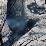 Los Bomberos trabajan para apagar un foco del incendio de Tarragona, en Maials