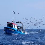 Una embarcación pescando en aguas del Estrecho de Gibraltar / Foto: Europa Press