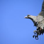 La águila franquista siempre ha sido objeto de polémica