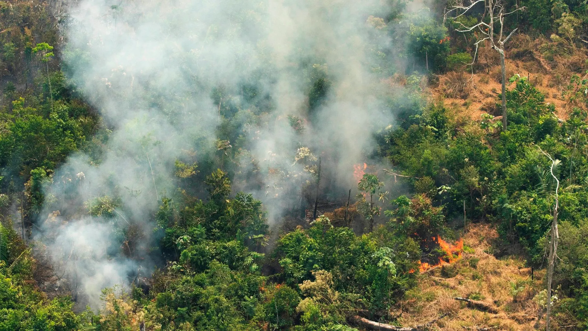 Vista aérea de una zona en llamas, este viernes, en la selva amazónica de Porto Velho, Brasil