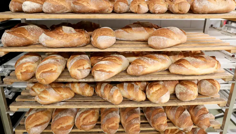 Cada pan presenta características únicas que podrás encontrar en este recetario digital