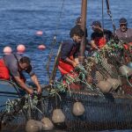Pescadores trabajando en Barbate (Cádiz)